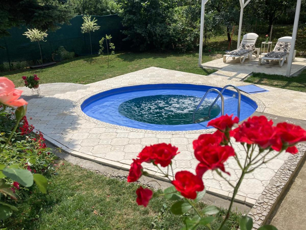 White House With Sauna And Jacuzzi Novi Sad Exterior photo