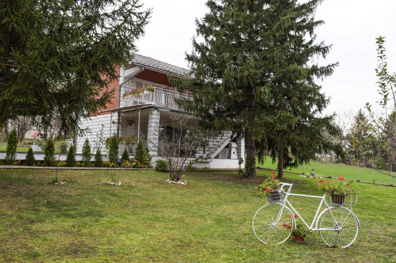 White House With Sauna And Jacuzzi Novi Sad Exterior photo