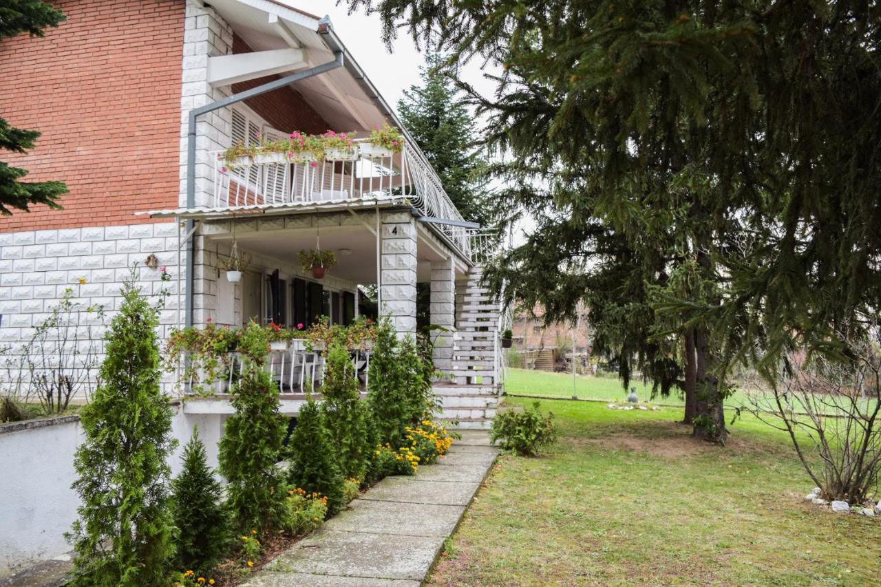 White House With Sauna And Jacuzzi Novi Sad Exterior photo